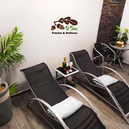A Wellness U Dubu ゲストハウス Nový Jičín